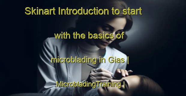 Skinart Introduction to start with the basics of microblading in Gias | MicrobladingTraining | MicrobladingClasses | SkinartTraining-Italy